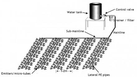 goutte  goutte faible cot_Low Cost Drip Irrigation_s.jpg