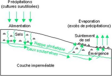 salinisation1