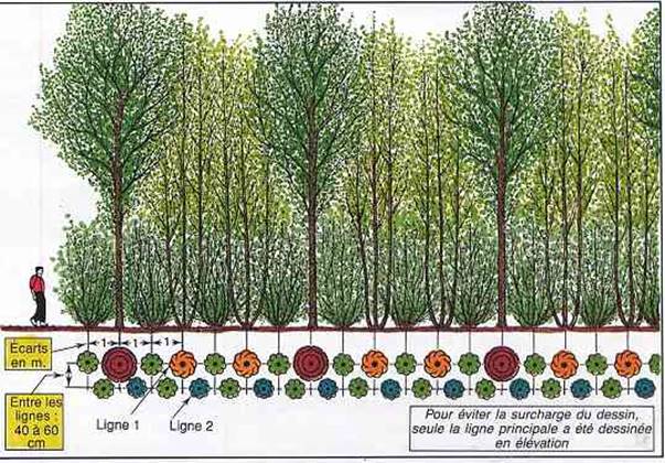 Une image contenant texte

Description gnre automatiquement