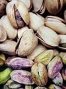 Pistachios_th_s.jpg