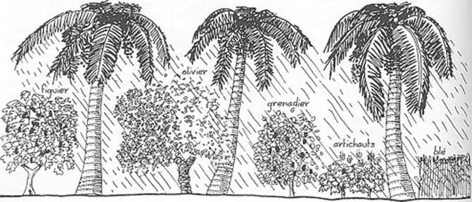 Une image contenant texte, reptile, dessin au trait

Description gnre automatiquement