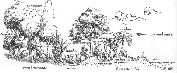 Une image contenant texte

Description gnre automatiquement