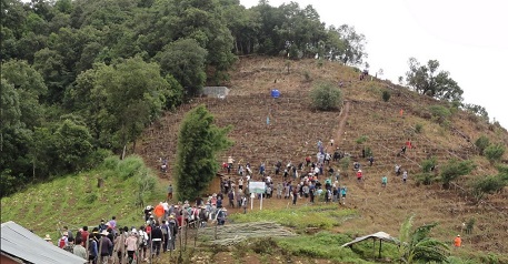 Huay Thung Taew Planting 30/6/12