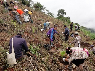 Huay Thung Taew Planting 30/6/12