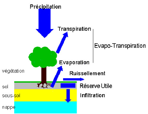 Eau-sol-sel