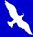 Chroniques de la Paix / Peace chronicle