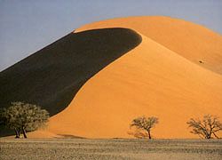 Désert du Kalahari (Nanibie)
