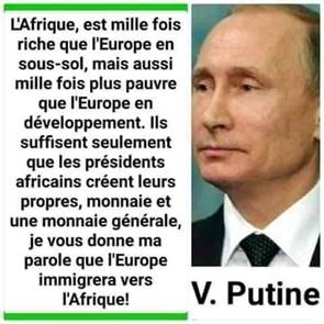 Une image contenant texte

Description gnre automatiquement