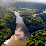 Amazonie, la rue sauvage
