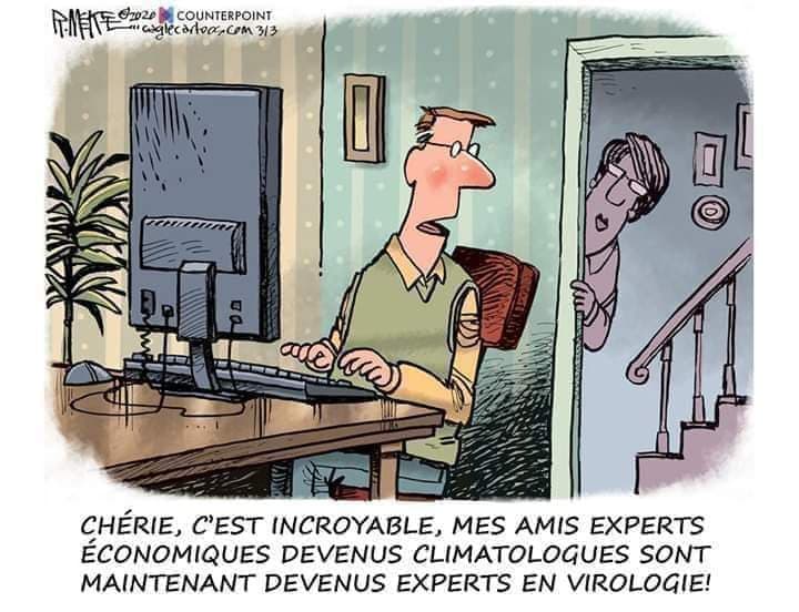 Experts autoproclamés