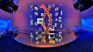 muse des sciences