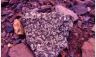 Andsite du Toubkal (avec ses inclusions d'orthose).