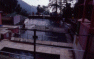 Bains sacrs  Dharamsala (l'eau du bain est de l'eau de source  10 C)