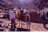 Maoub, un randonneur et notre muletier, Brahim