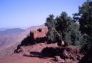 Genvrier thurifre au abord d'un village, ~Imlil, Toubkal, Maroc (1997).