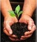 projet de reforestation