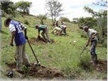 projet de reforestation