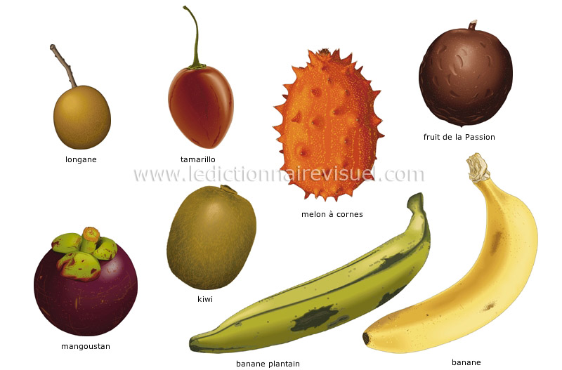 Есть фрукт на н. Название фруктов. Фрукты на букву а. Тропические фрукты названия. Тропический фрукт на букву с.