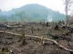 Projet de lutte contre l'rosion et la dforestation  Madagascar